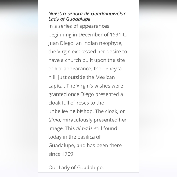 SALE 19 th century Retablo on Copper Virgin of Guadalupe - Picture 7 of 12